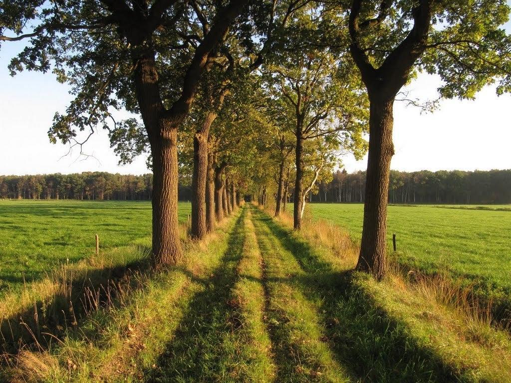 Apartmán Stal Zwartschaap Stuifzand Pokoj fotografie