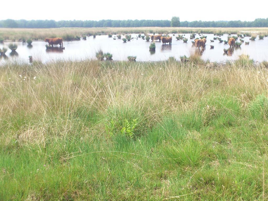 Apartmán Stal Zwartschaap Stuifzand Exteriér fotografie