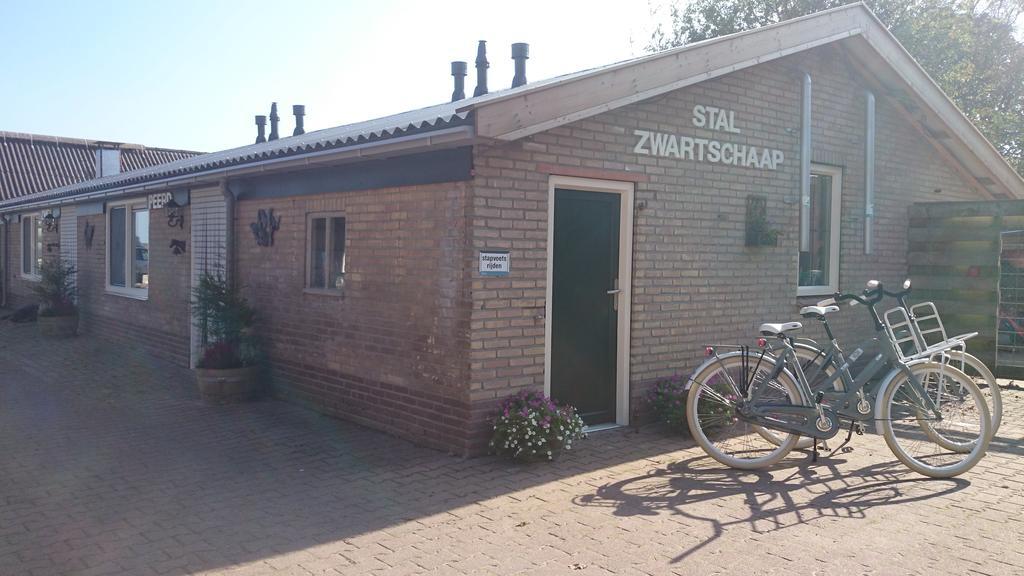 Apartmán Stal Zwartschaap Stuifzand Exteriér fotografie